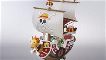 One Piece Kits