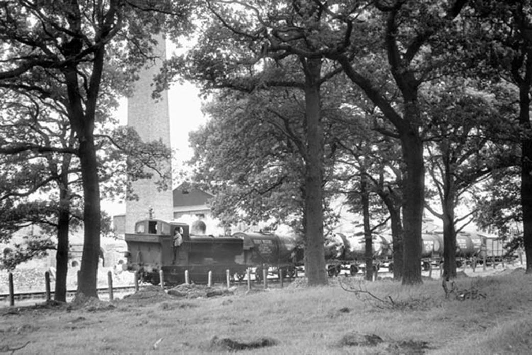 4689 is seen through the trees of Holly Hill Wood passing Broadmoor Brickworks