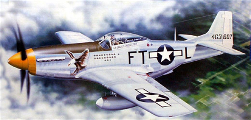 Trumpeter 1/24 02401 North American P-51D Mustang IV