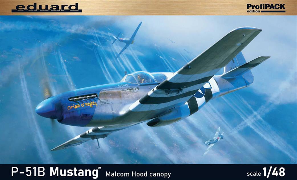 Eduard 1/48 82101 P-51D-5 Mustang Fighter Kit