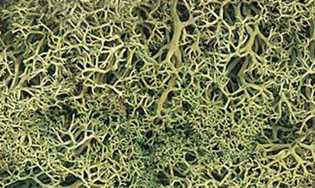 Woodland Scenics  L162 Light Green Lichen