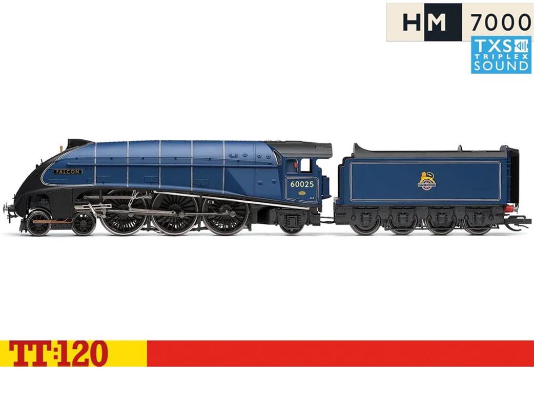 Rapido Trains TT:120 823102 Class 45 D99 “3rd Carabinier” BR Green With Small Yellow Panels