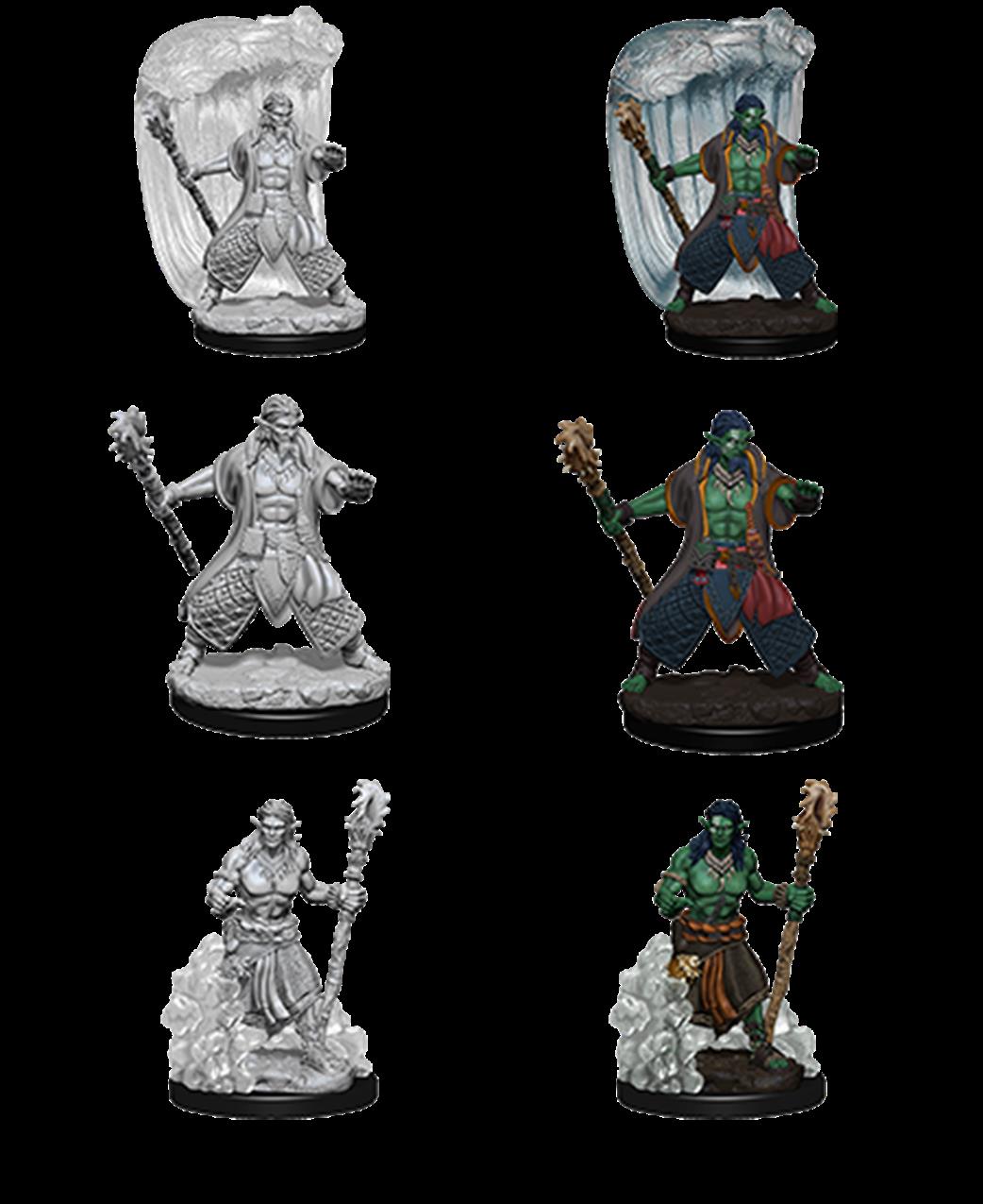 Wizkids  73337 Water Genasi Male Druid: D&D Nolzur's Marvelous Unpainted Miniatures