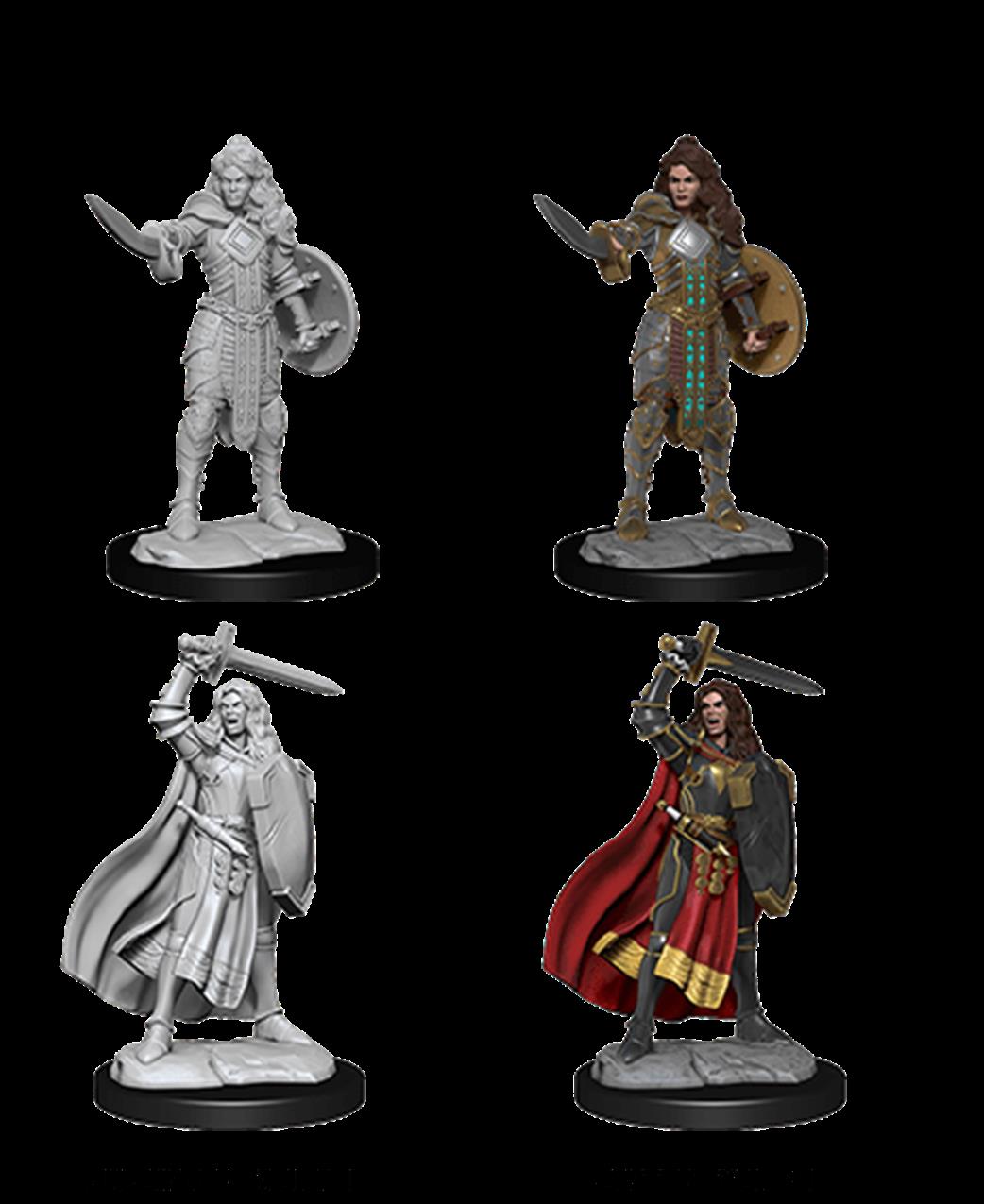 Wizkids  90264 Human Champion Female: Pathfinder Deep Cuts Unpainted Miniatures