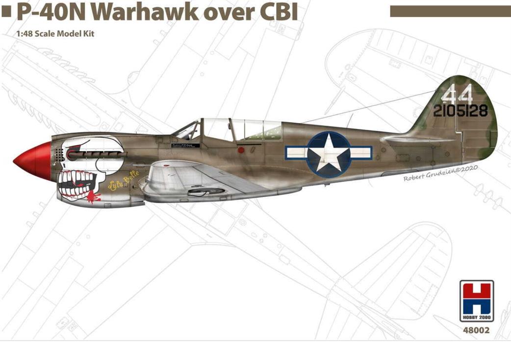 Hobby 2000 1/48 48002 P-40N Warhawk over CBI