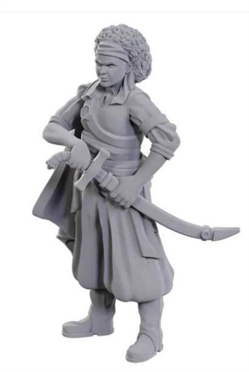 Wizkids  90110 Ansalon Human Rogue: D&D Nolzur's Marvelous Unpainted Miniatures